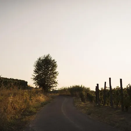 Casa de Férias Vigna Rocchetta *
