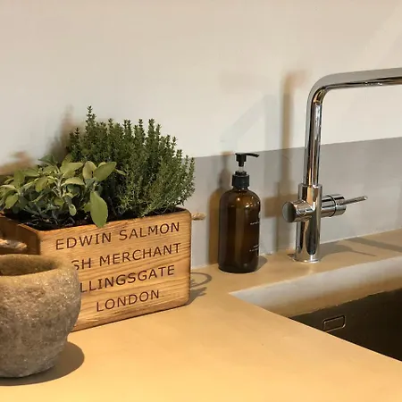 Vigna Rocchetta Cassinasco