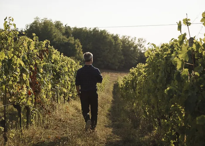 別荘 Vigna Rocchetta *